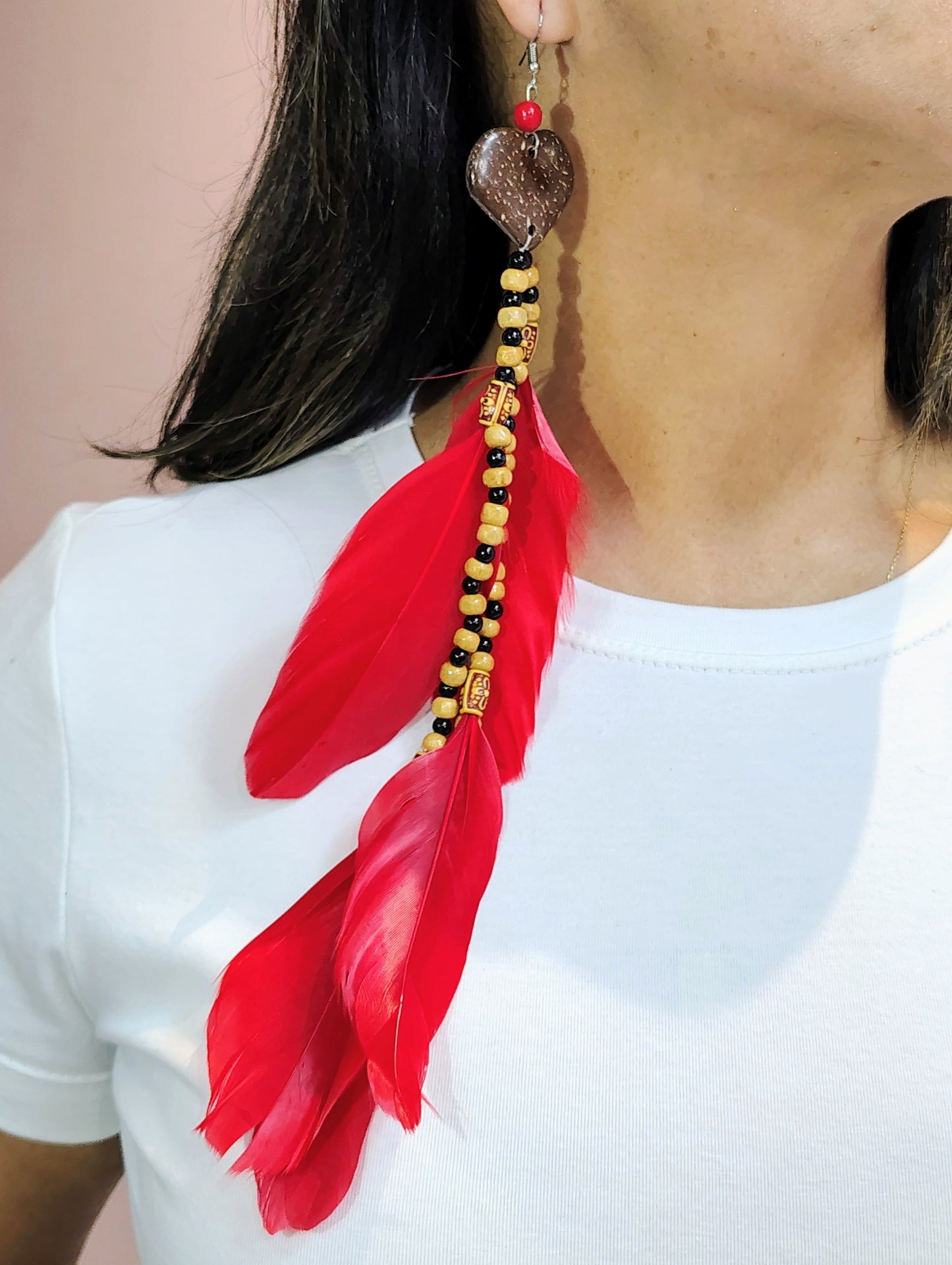 Brinco Penas e sementes Garantido